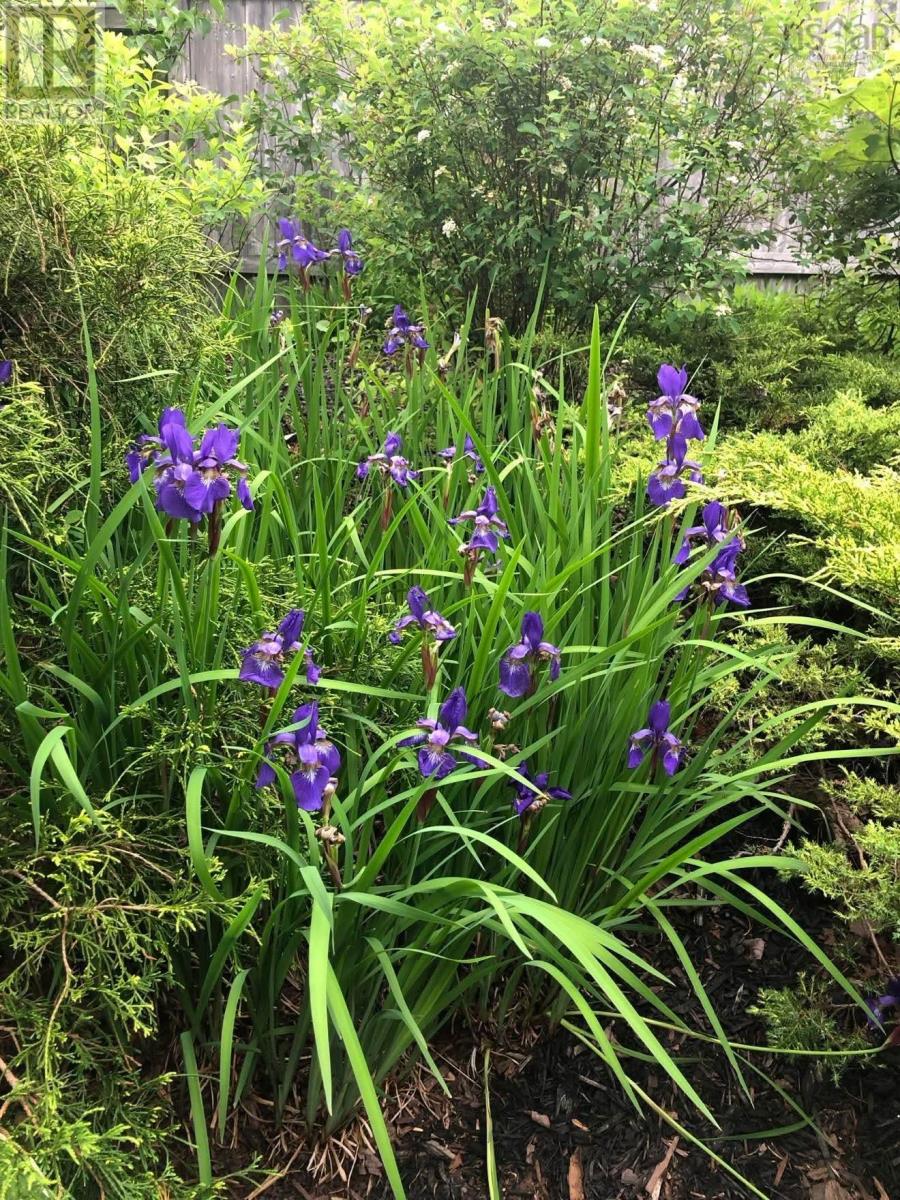 49 Woodhaven Close, Dartmouth, Nova Scotia  B2W 6P9 - Photo 37 - 202506406