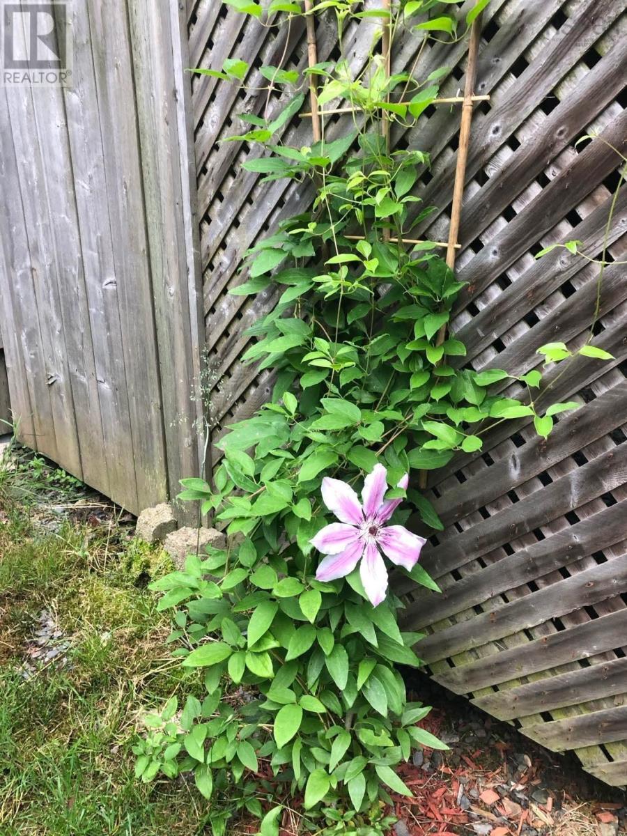 49 Woodhaven Close, Dartmouth, Nova Scotia  B2W 6P9 - Photo 42 - 202506406