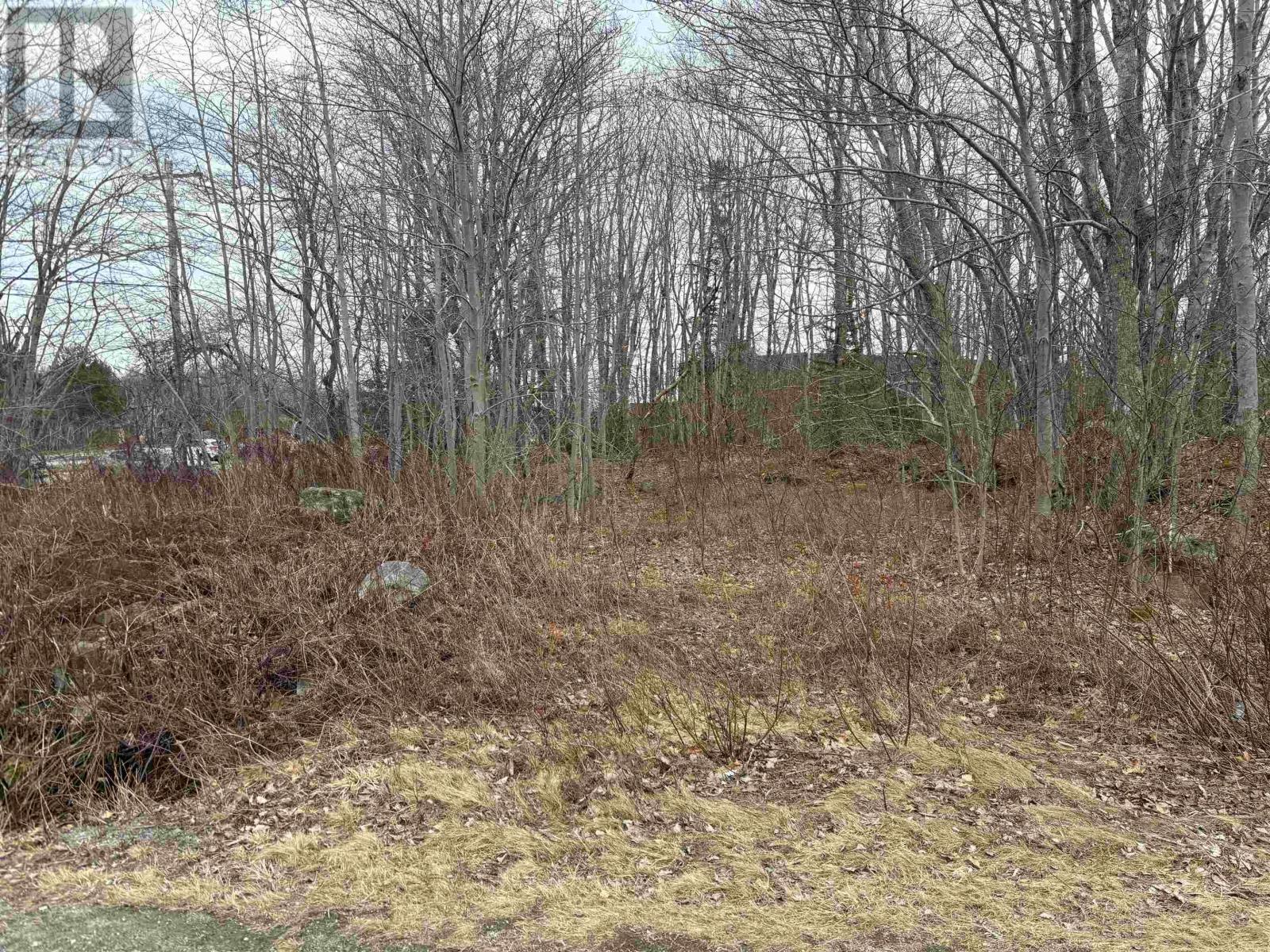 Property at Lot PID# 70047113 Old Port Mouton Road image 1