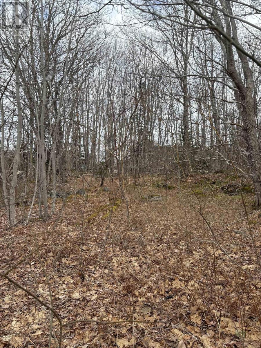 Property at Lot PID# 70047113 Old Port Mouton Road image 4