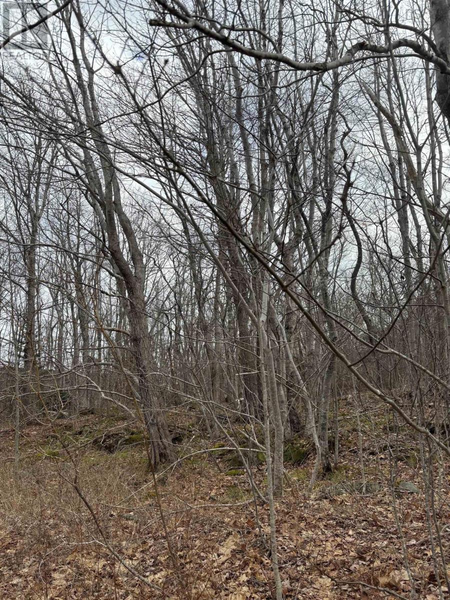 Lot Pid# 70047113 Old Port Mouton Road, White Point, Nova Scotia  B0T 1K0 - Photo 3 - 202506414