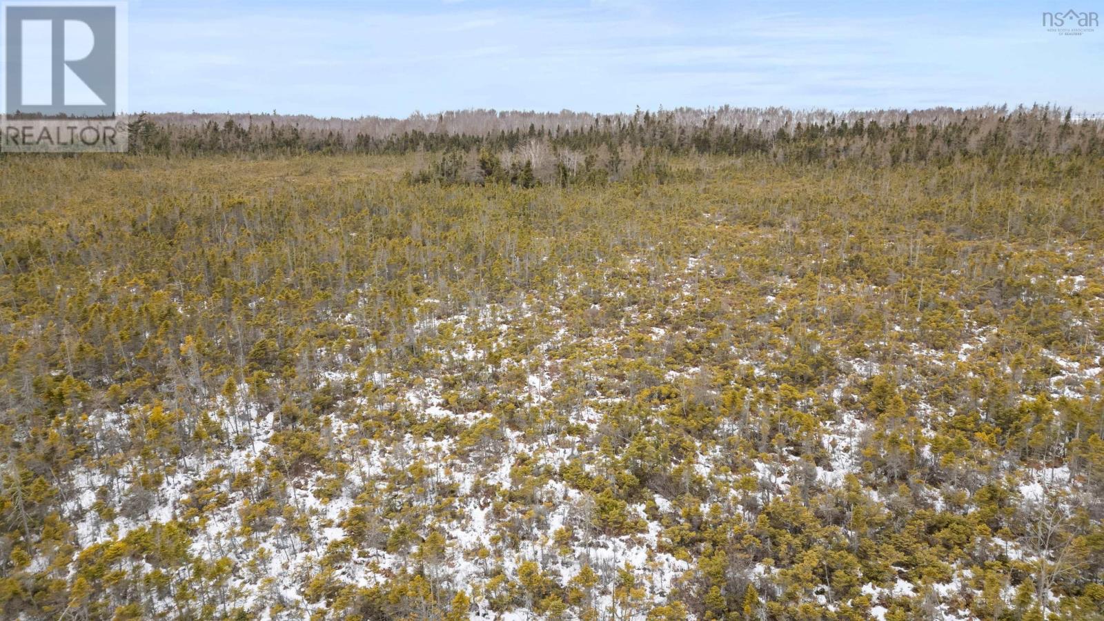 Lot 62 Acres Caribou Island Rd, Caribou Island, Nova Scotia  B0K 1H0 - Photo 21 - 202506415