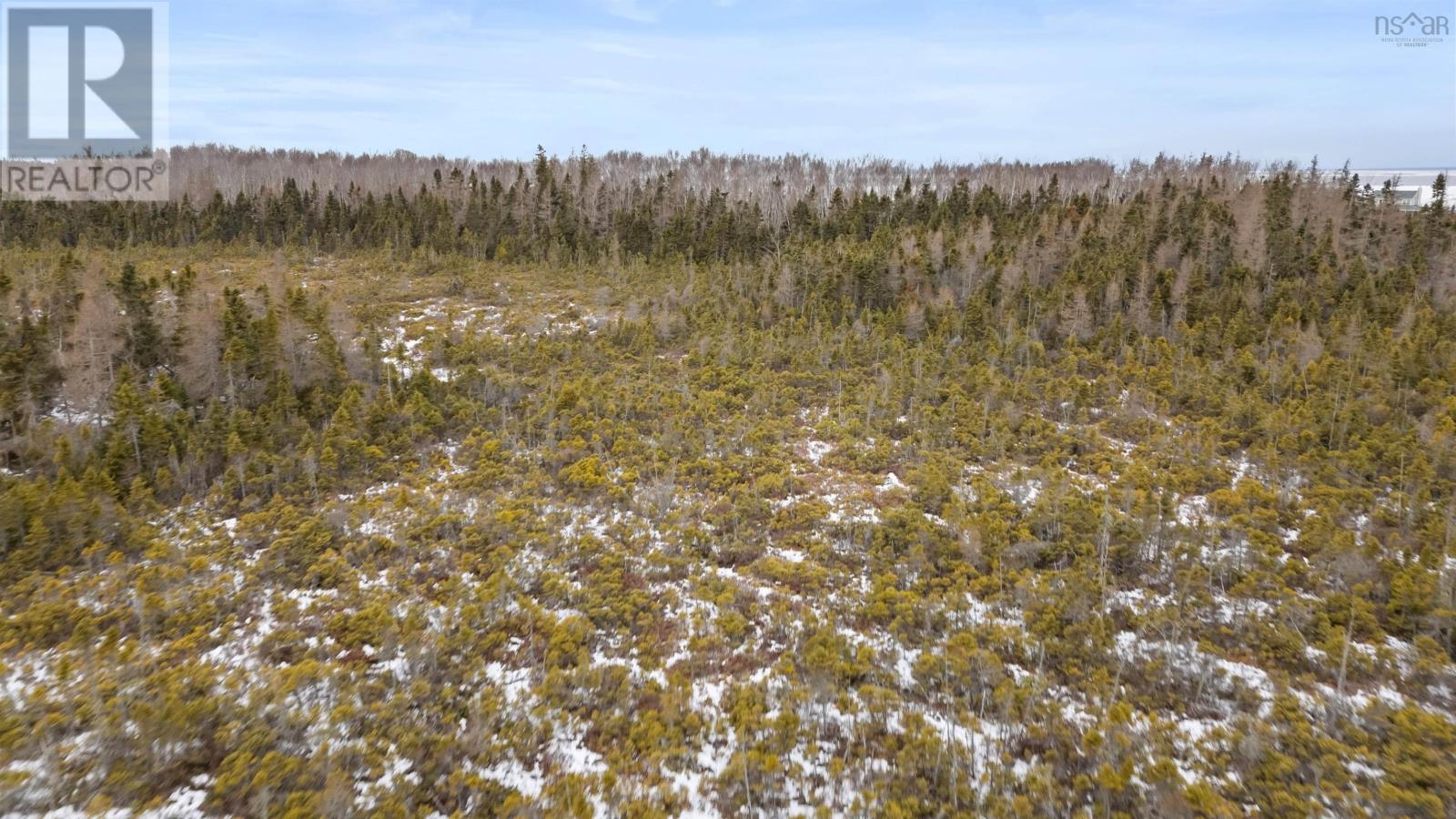 Lot 62 Acres Caribou Island Rd, Caribou Island, Nova Scotia  B0K 1H0 - Photo 22 - 202506415