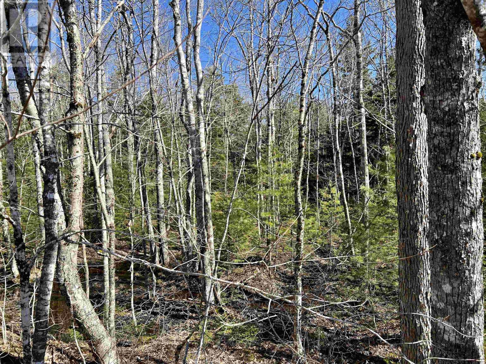 Lot 71 Snowy Owl Trail, Vaughan, Nova Scotia  B0N 2T0 - Photo 6 - 202506419