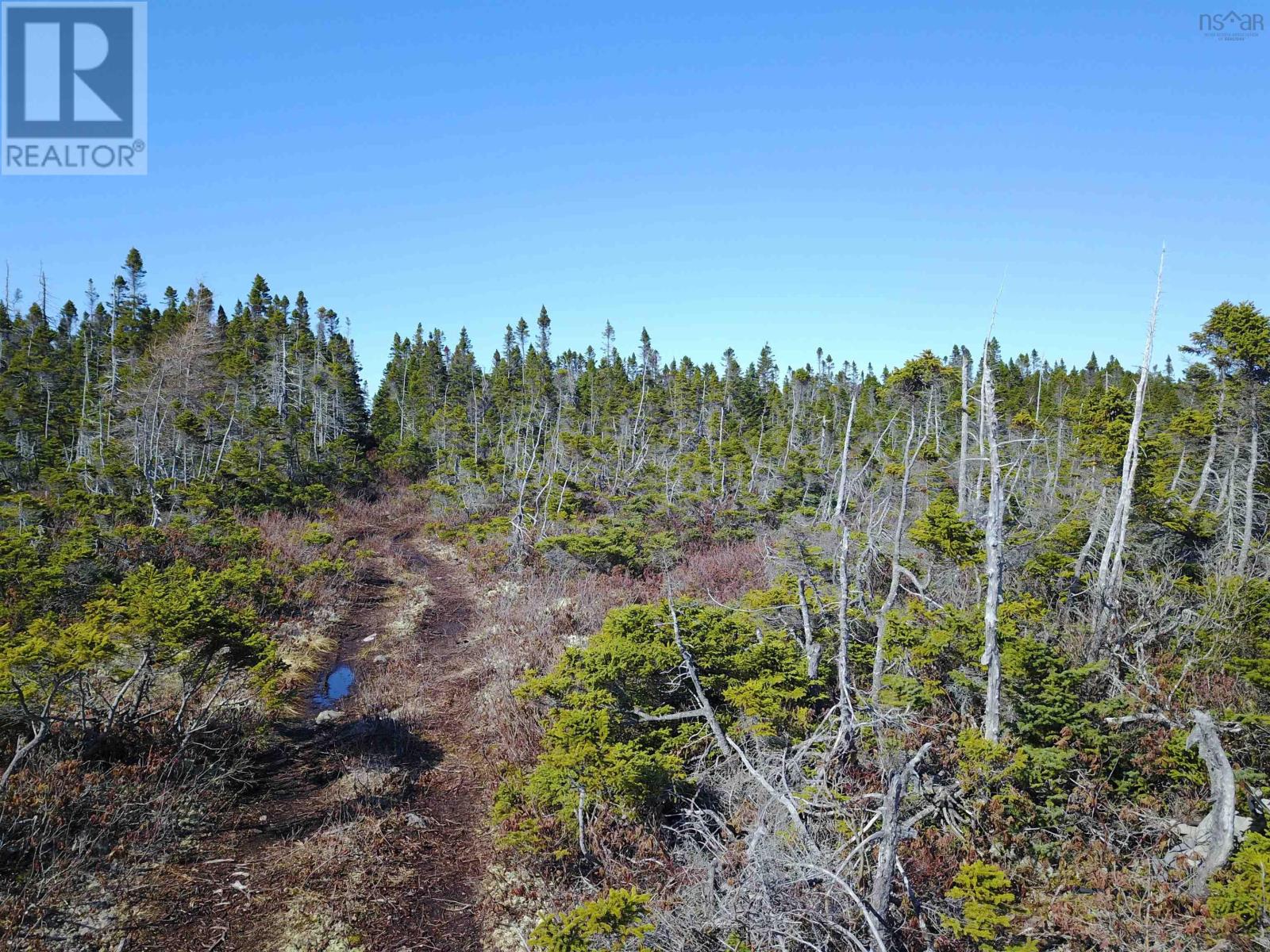 New Haven Road, New Haven, Nova Scotia  B0C 1N0 - Photo 9 - 202506435