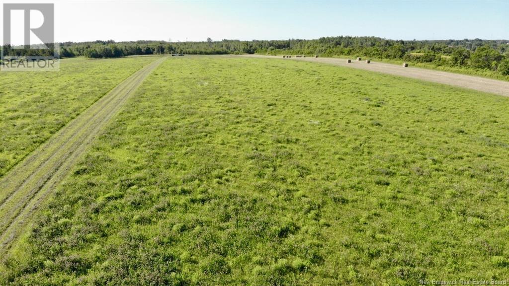 Lot 1 Bas Cap Pele, Bas Cap Pele, New Brunswick  E4N 1M1 - Photo 3 - NB115168