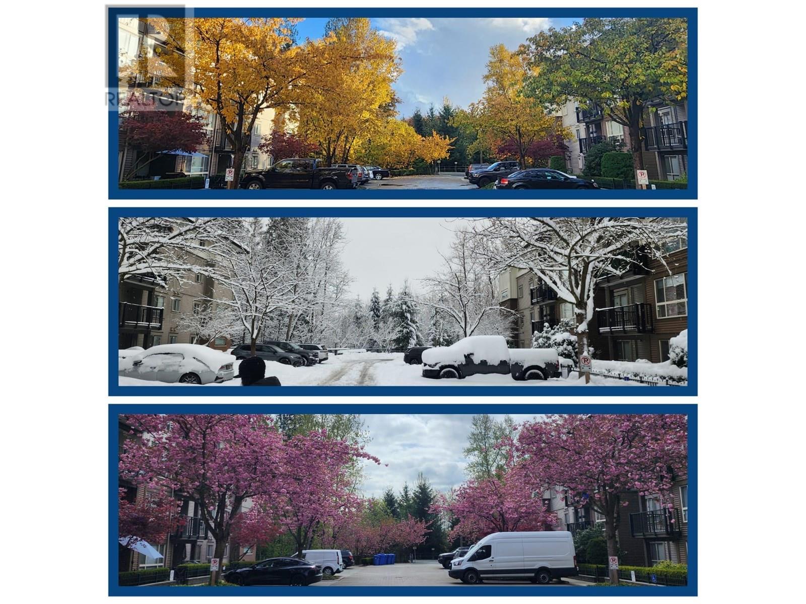 101 11665 HANEY BYPASS, maple ridge, British Columbia V2X8W9