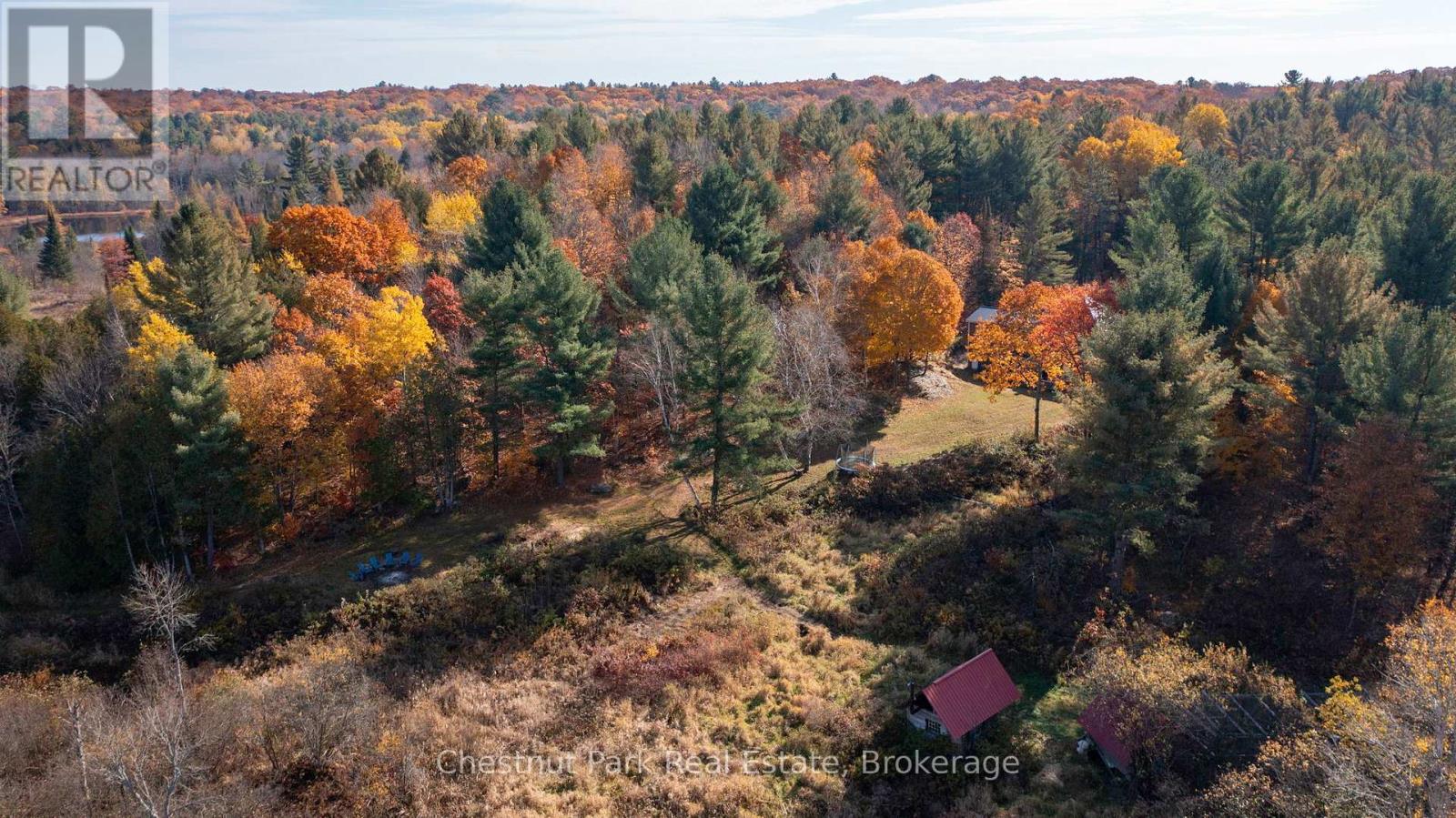1236 Butter & Egg Road, Muskoka Lakes, Ontario  P1L 1X4 - Photo 43 - X12041515