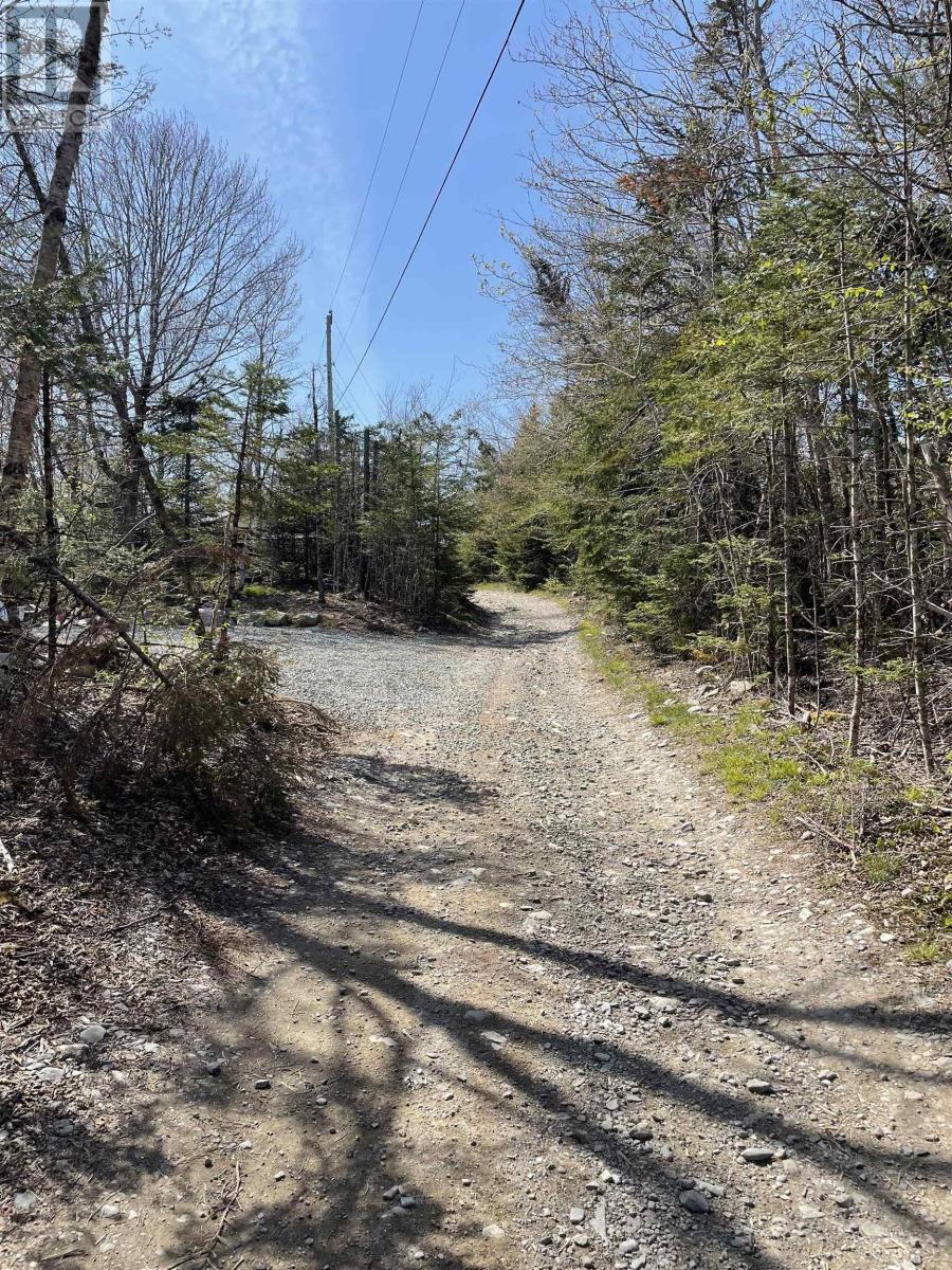 25 Ton Timber Hills Road, Moser River, Nova Scotia  B0J 2R0 - Photo 17 - 202506454