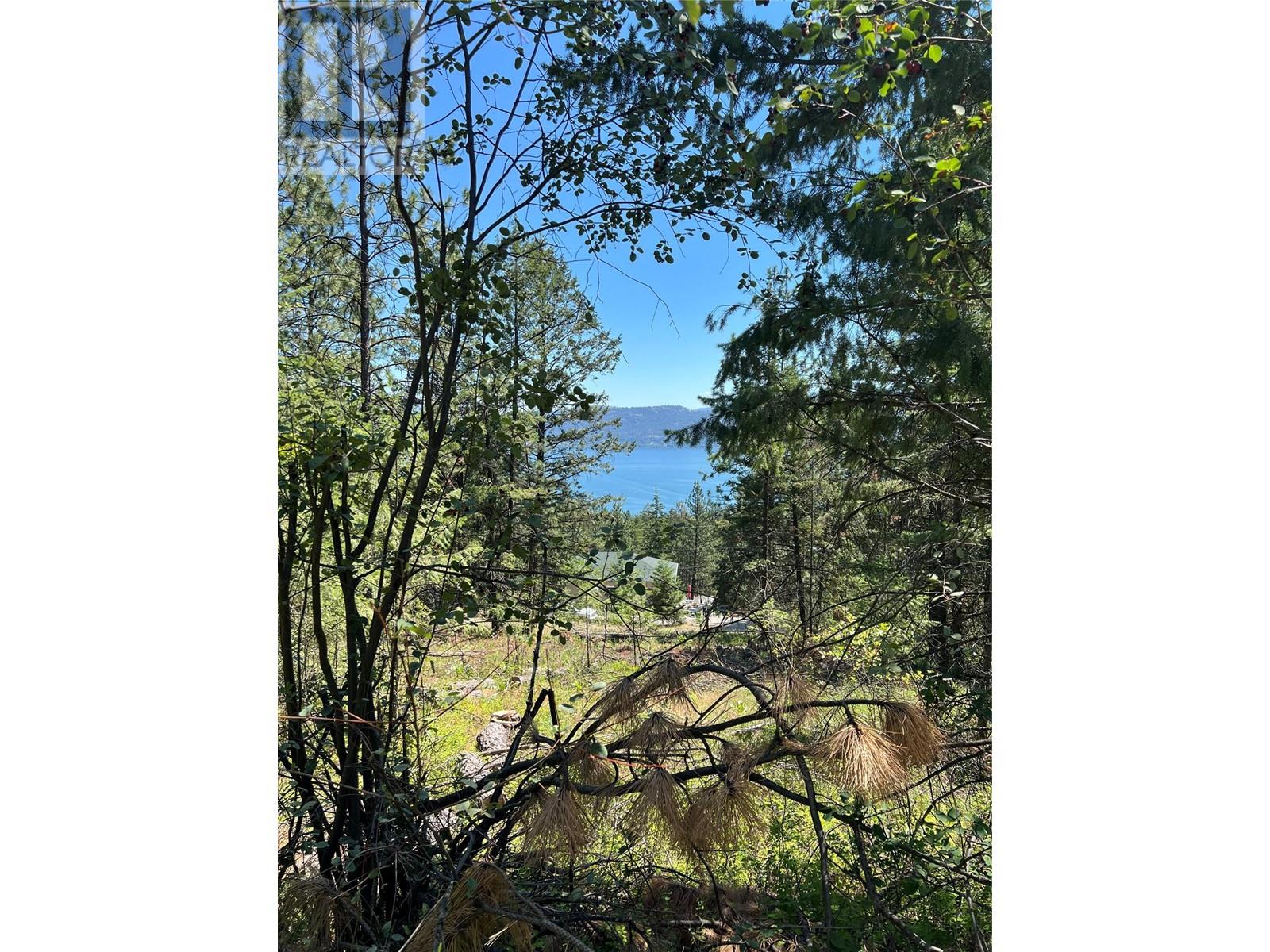 10523 Westshore Road, Vernon, British Columbia  V1H 2B2 - Photo 3 - 10341086