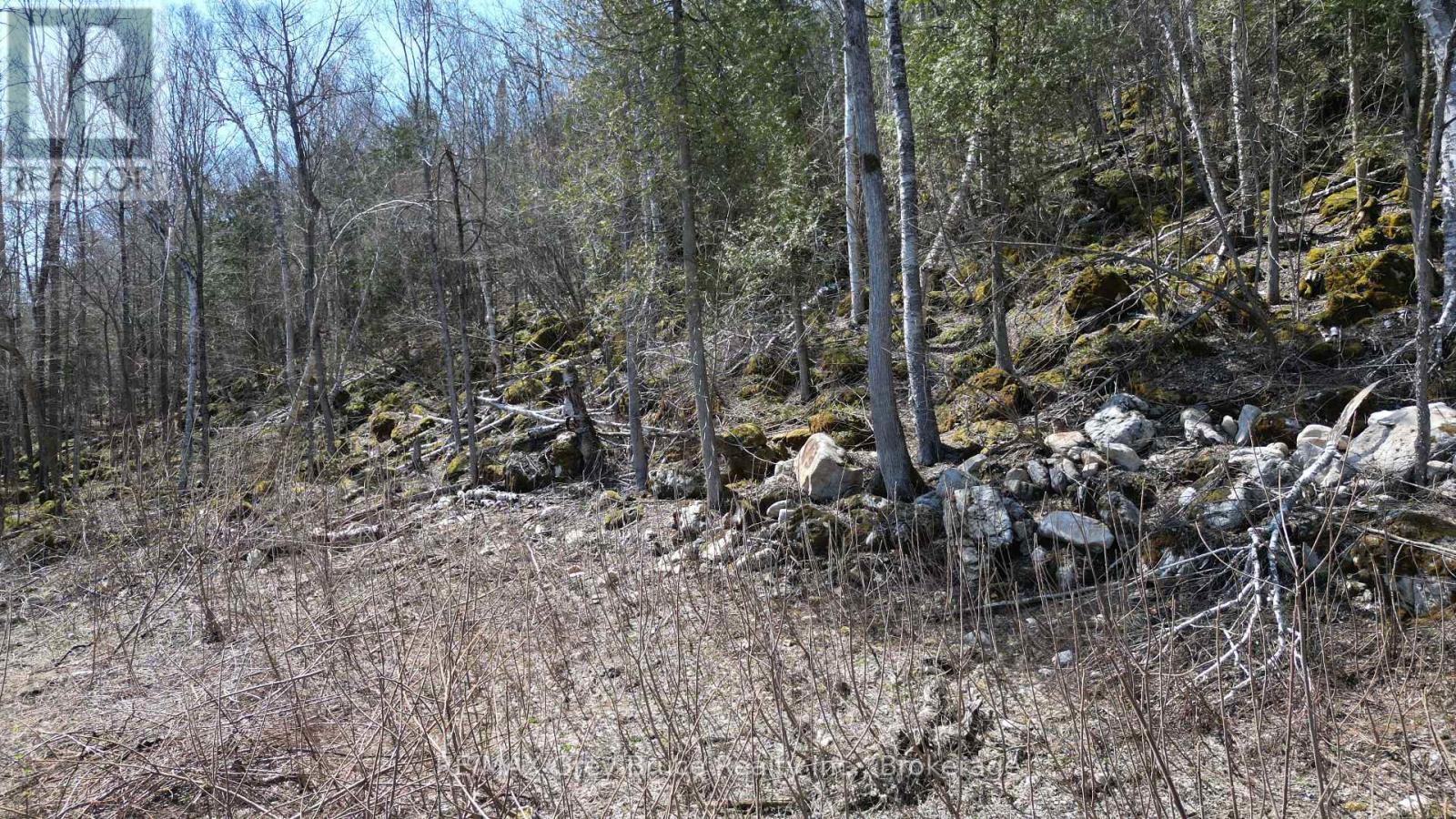 132-B Georgian Drive, Northern Bruce Peninsula, Ontario  N0H 1W0 - Photo 6 - X12055178