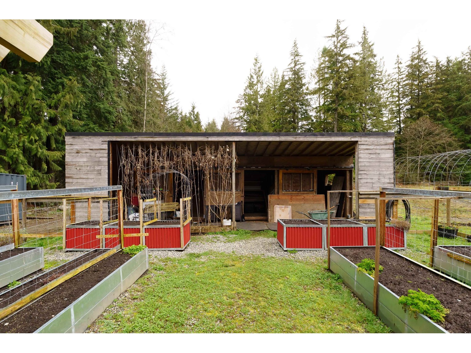 12468 Carr Street, Mission, British Columbia  V4S 1B9 - Photo 18 - R2984775