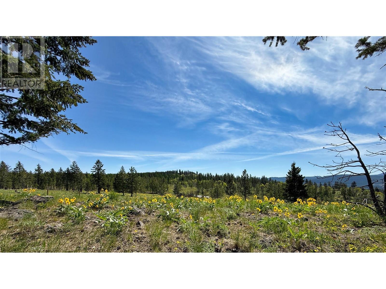 9510 Stirton Road, Kimberley, British Columbia  V1A 3J1 - Photo 48 - 10340877