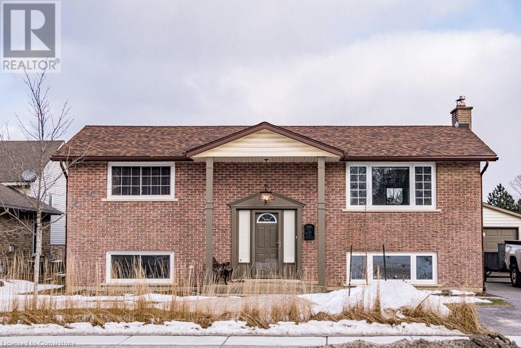 Property at 3799 19TH Street image 1