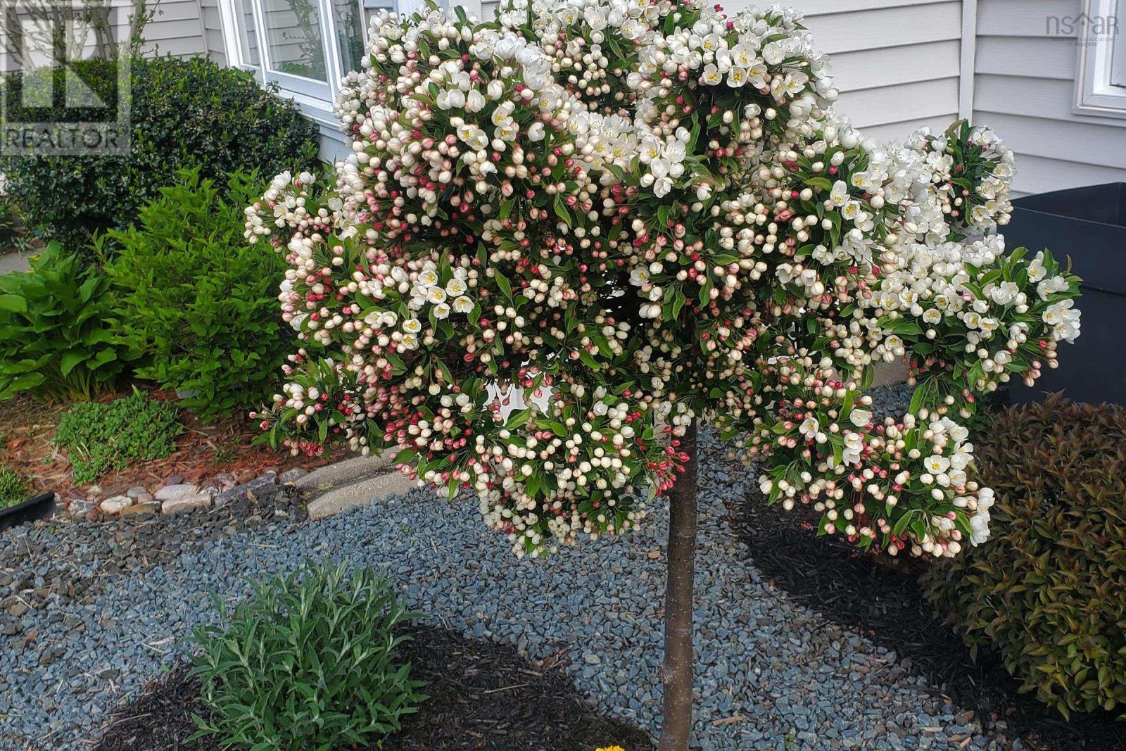 541 Harbour View Crescent, Cornwallis Park, Nova Scotia  B0S 1H0 - Photo 6 - 202506463