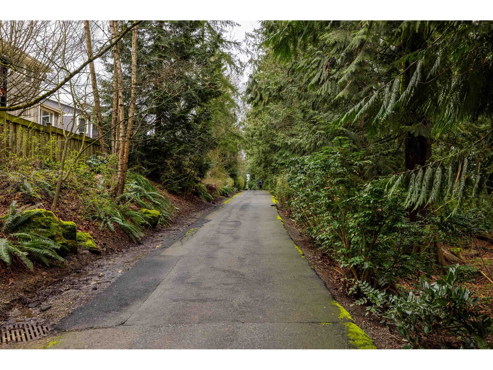20426 67a Avenue, Langley, British Columbia  V2Y 2X5 - Photo 38 - R2983815