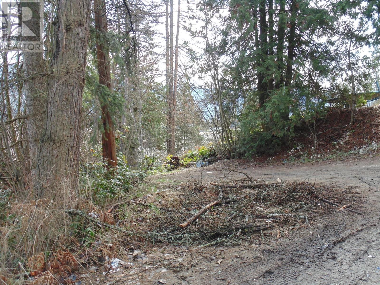 Lot B 9th Avenue, Castlegar, British Columbia  V1N 1M4 - Photo 10 - 10341005