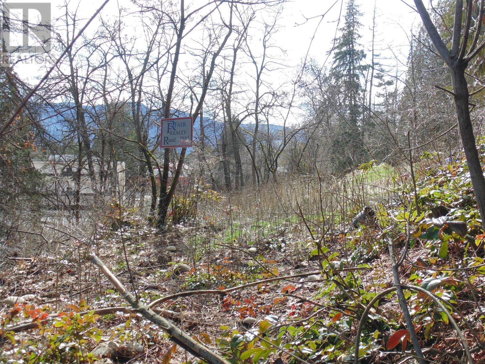 Lot B 9th Avenue, Castlegar, British Columbia  V1N 1M4 - Photo 3 - 10341005