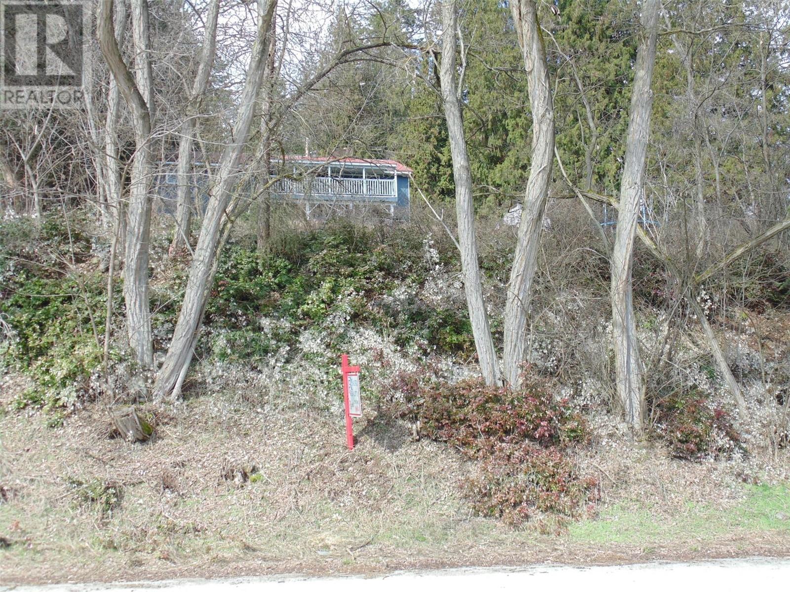 Lot B 9th Avenue, Castlegar, British Columbia  V1N 1M4 - Photo 4 - 10341005