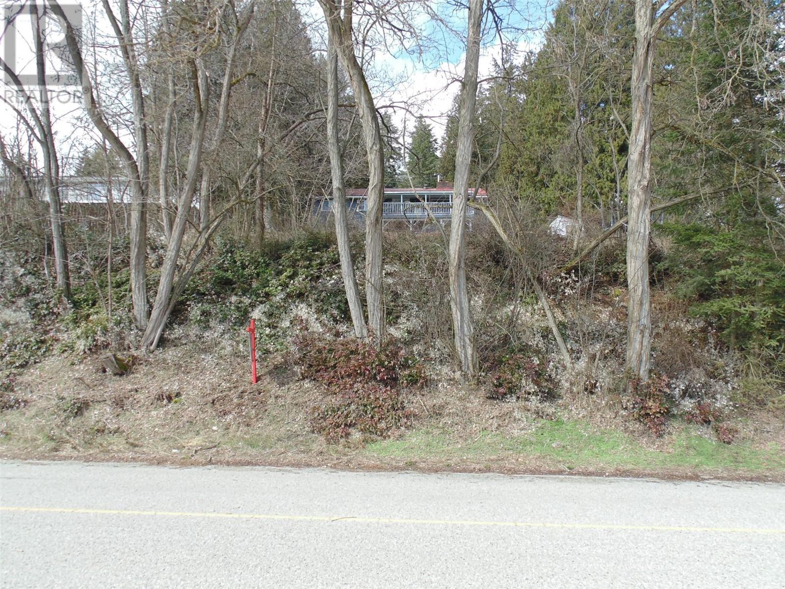 Lot B 9th Avenue, Castlegar, British Columbia  V1N 1M4 - Photo 5 - 10341005