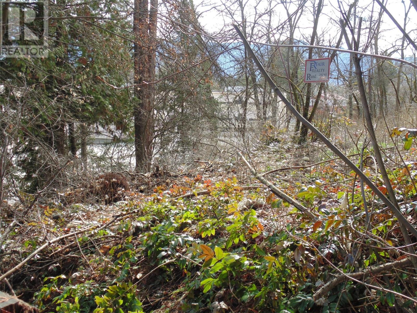 Lot B 9th Avenue, Castlegar, British Columbia  V1N 1M4 - Photo 7 - 10341005