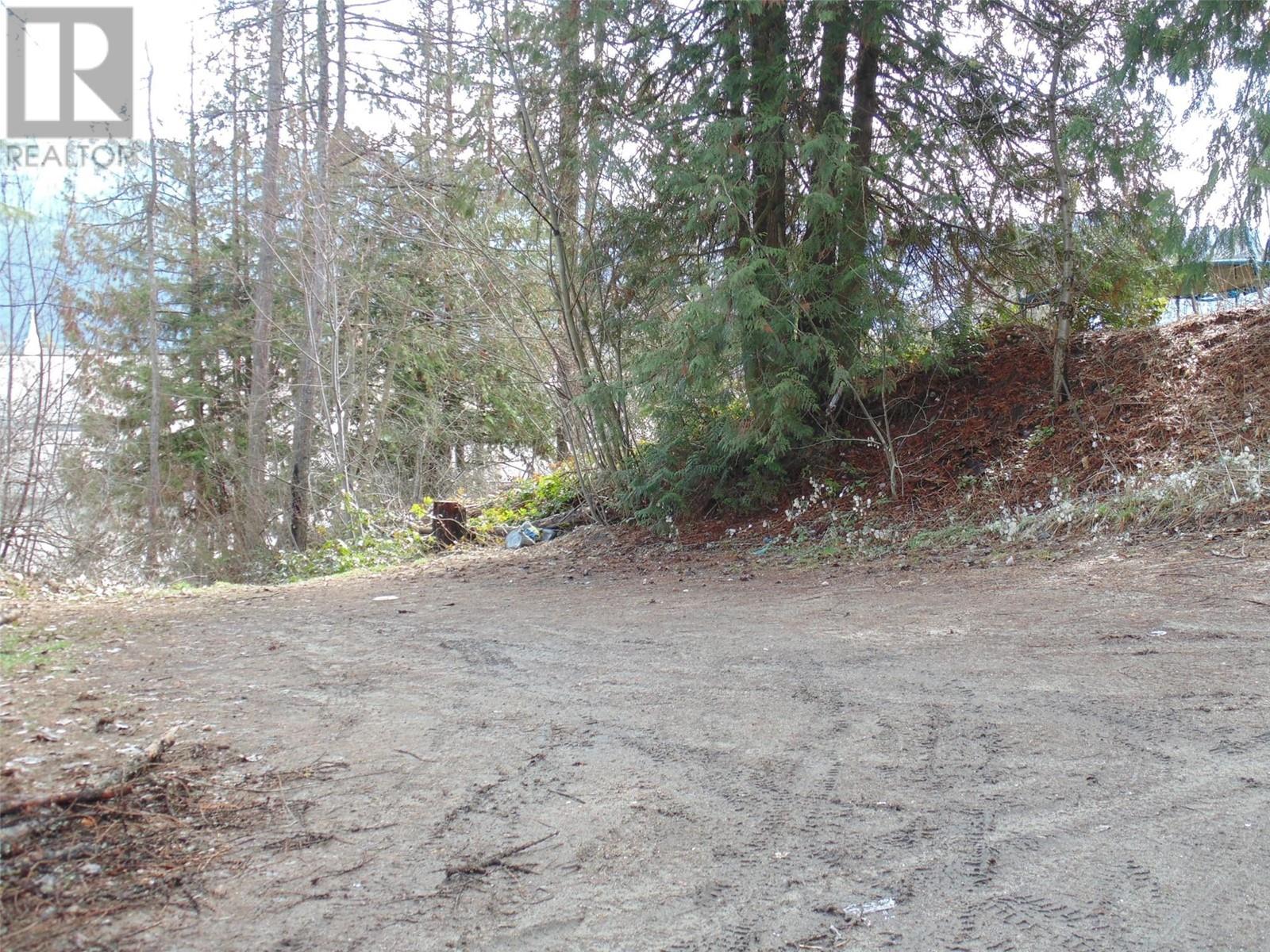 Lot B 9th Avenue, Castlegar, British Columbia  V1N 1M4 - Photo 8 - 10341005