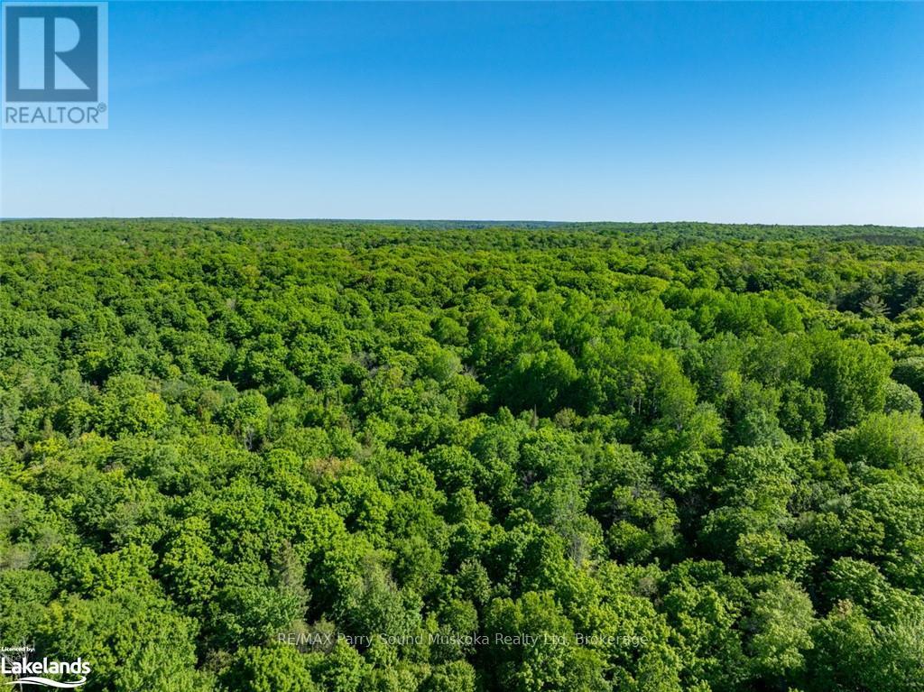 187b Star Lake Road, Seguin, Ontario  P0C 1J0 - Photo 14 - X12055401