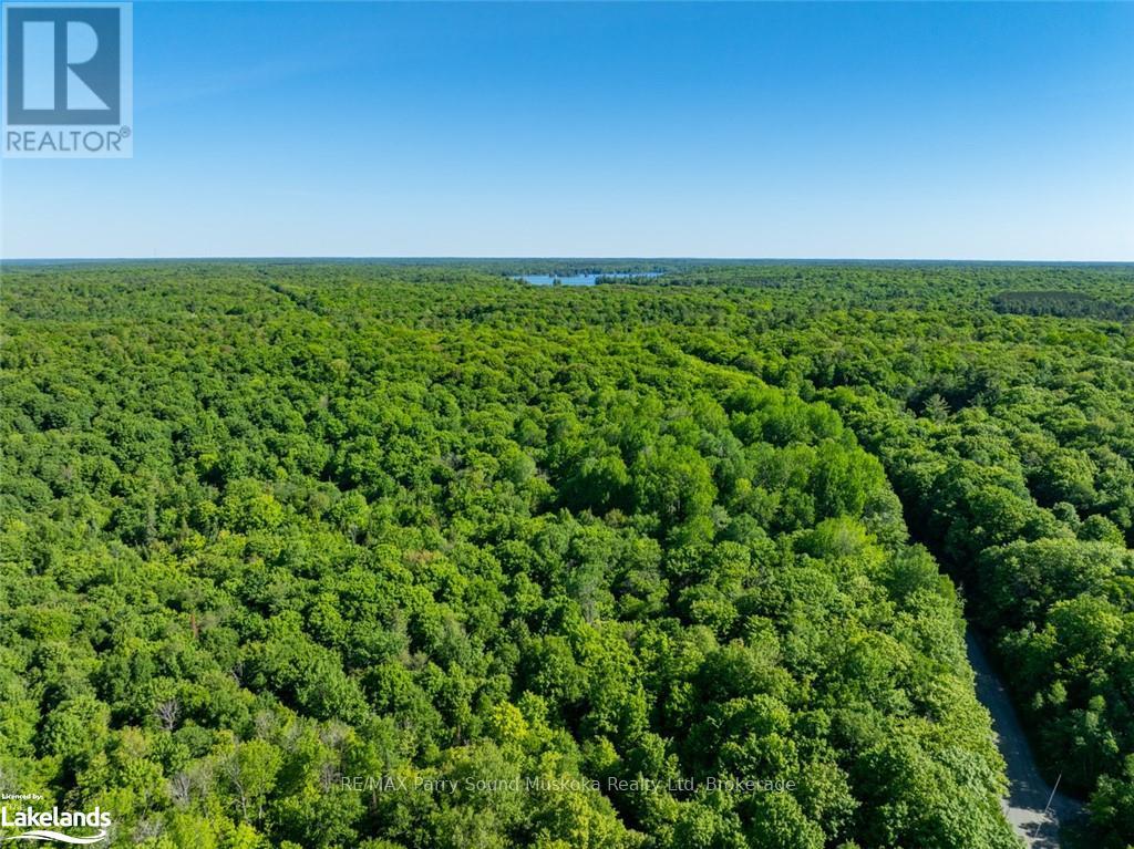187b Star Lake Road, Seguin, Ontario  P0C 1J0 - Photo 19 - X12055401