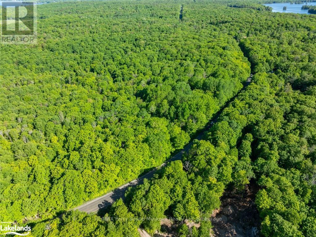 187b Star Lake Road, Seguin, Ontario  P0C 1J0 - Photo 23 - X12055401