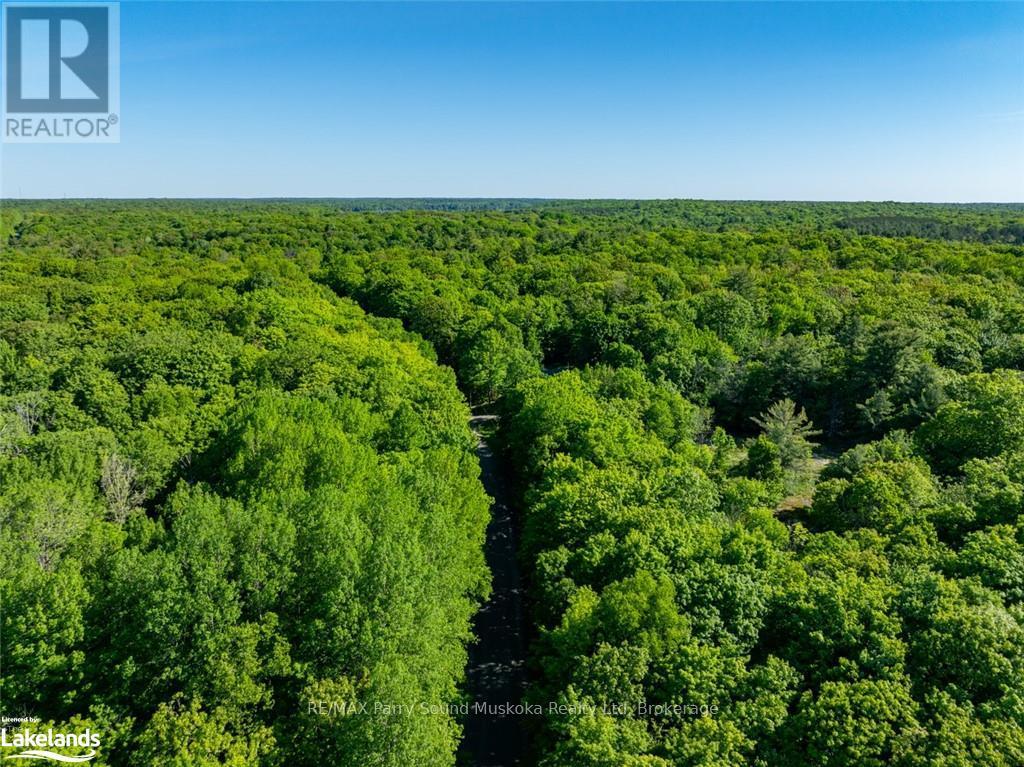 187b Star Lake Road, Seguin, Ontario  P0C 1J0 - Photo 26 - X12055401