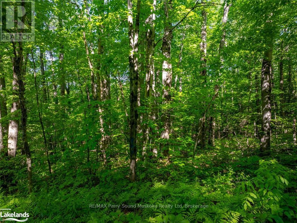 187b Star Lake Road, Seguin, Ontario  P0C 1J0 - Photo 7 - X12055401