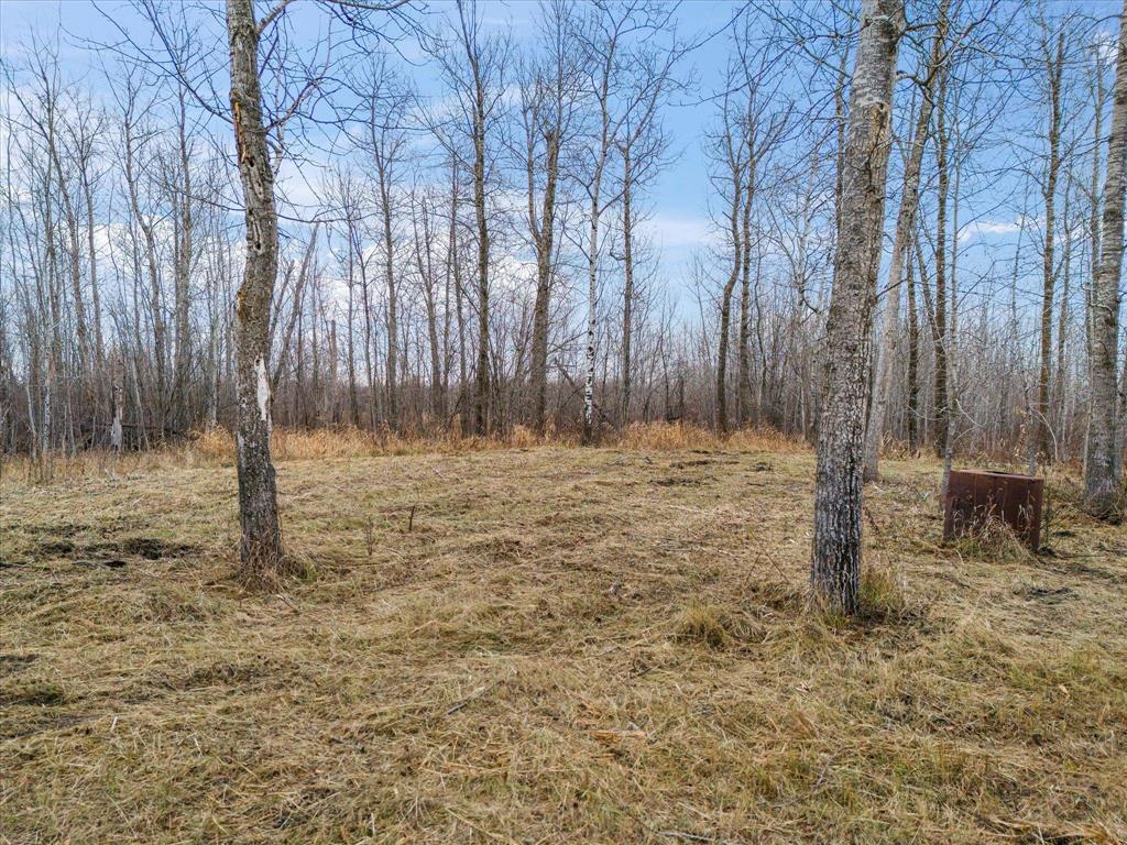 0 15n Road, Vita, Manitoba  R0A 2P0 - Photo 12 - 202506680