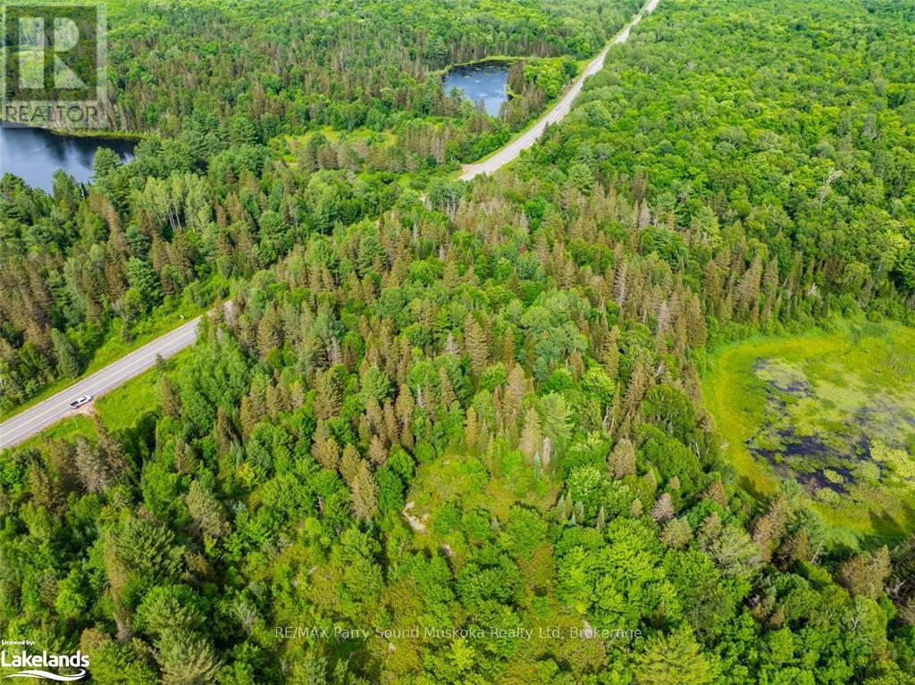 7281a Highway 124, Whitestone (Dunchurch), Ontario  P0G 1G0 - Photo 4 - X12055454