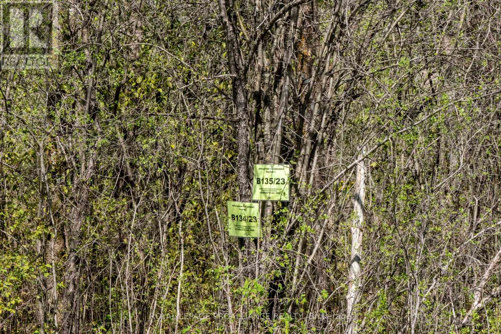 00 Callaghan Road, Tyendinaga (Tyendinaga Township), Ontario  K0K 2N0 - Photo 8 - X12055695