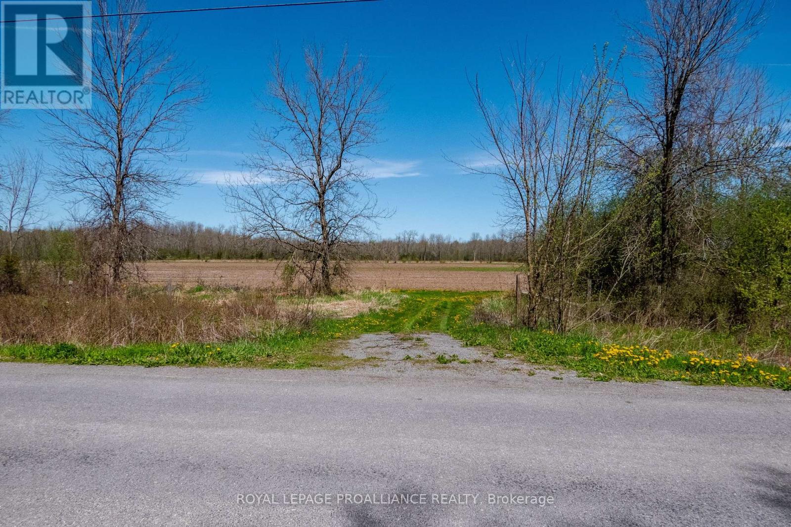 00 Callaghan Road, Tyendinaga (Tyendinaga Township), Ontario  K0K 2N0 - Photo 9 - X12055695