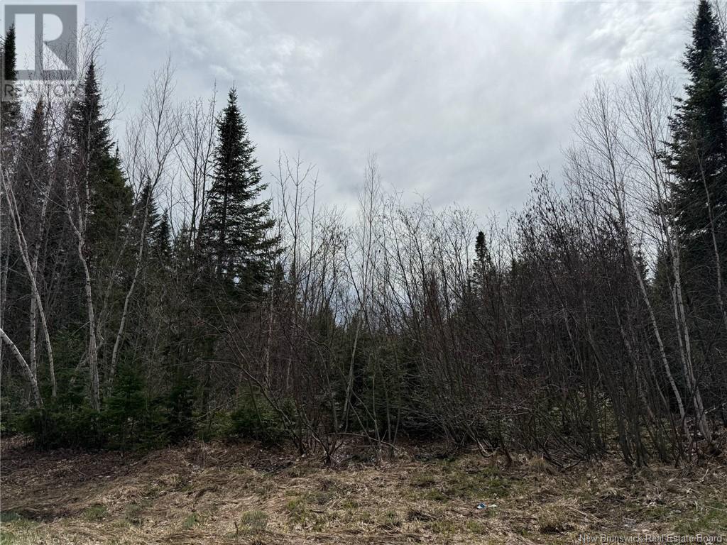 Lot 98-1 Parker Road, Williamstown, New Brunswick  E1V 5E8 - Photo 2 - NB115264