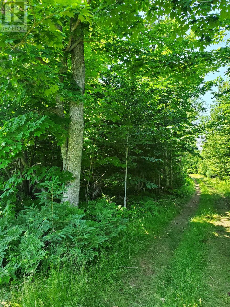 Lot 13 Mapleridge Road, North Granville, North Granville, Prince Edward Island  C0B 1M0 - Photo 13 - 202506513