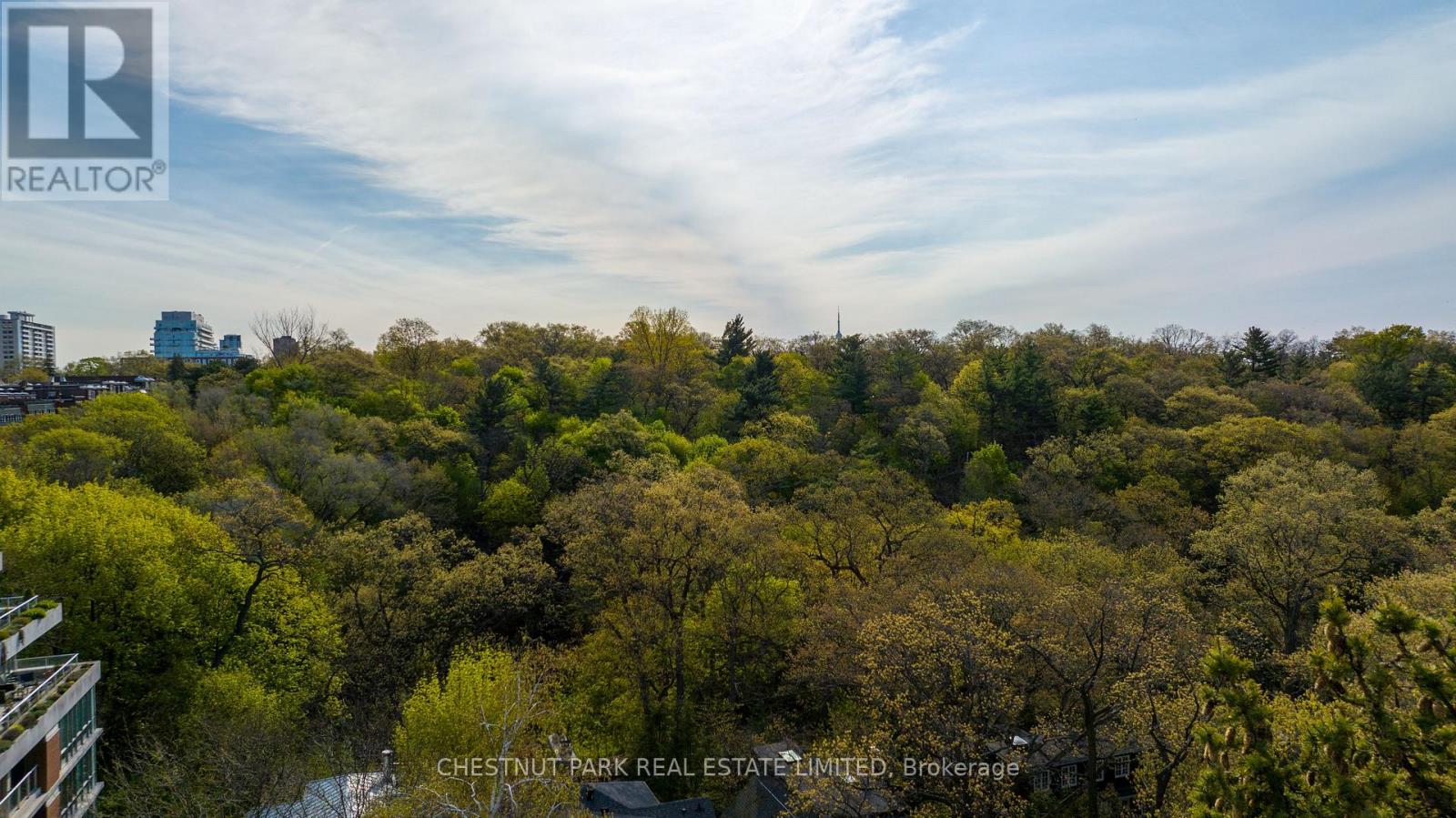 379 Ellis Park Road, Toronto, Ontario  M6S 2V7 - Photo 3 - W12055864