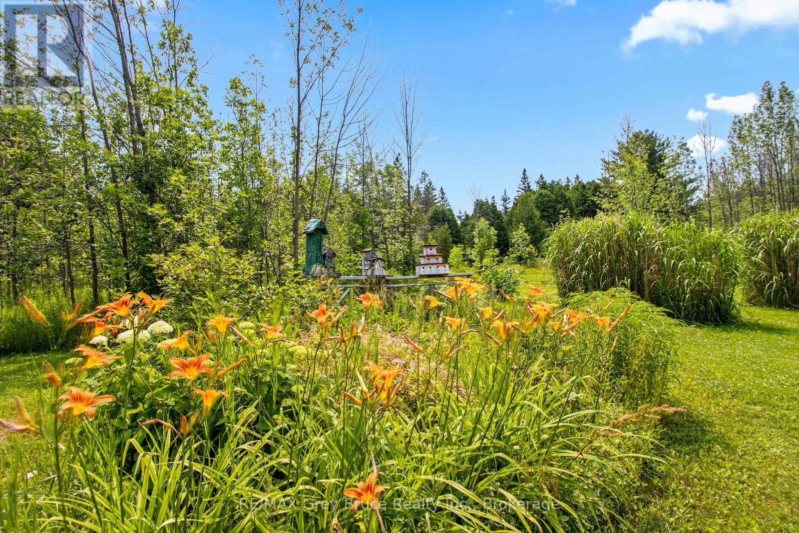 55 Trillium Crossing, Northern Bruce Peninsula, Ontario  N0H 1W0 - Photo 44 - X12055998