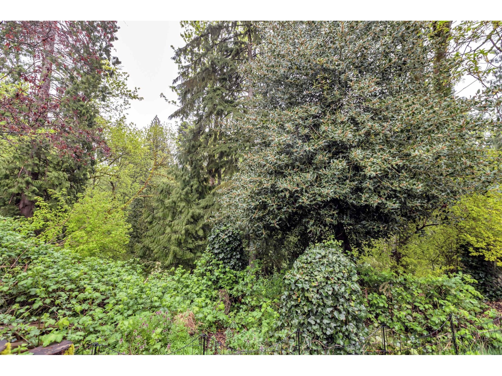 4650 203a Street, Langley, British Columbia  V3A 5K1 - Photo 39 - R2984457