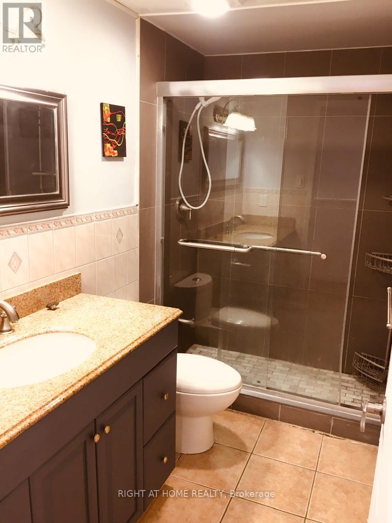 237 Thoms Crescent, Newmarket, Ontario  L3Y 1C9 - Photo 10 - N12056564
