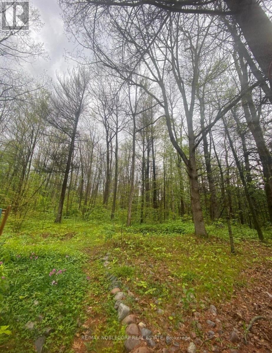 Unit 154 - 248 Pinnacle Hill Road N, Alnwick/haldimand, Ontario  K0K 1M0 - Photo 14 - X12056566