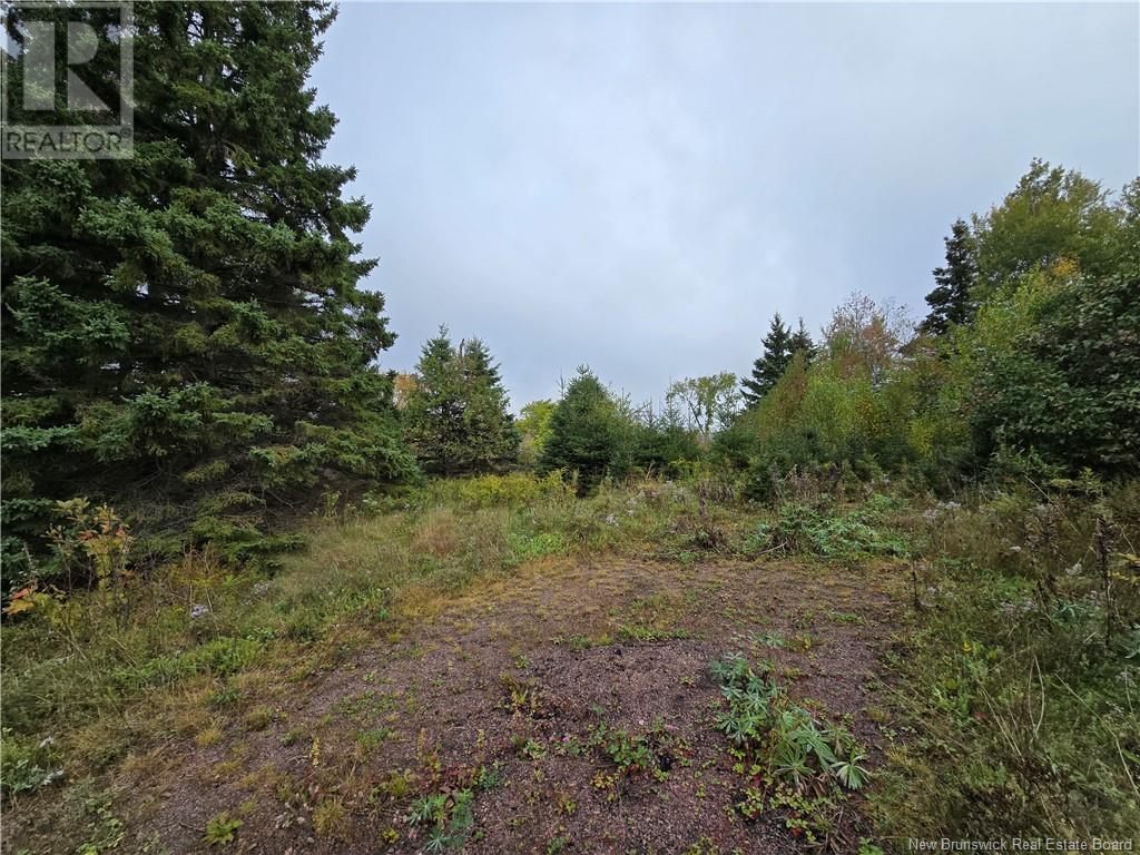 14077 Route 10, roachville, New Brunswick