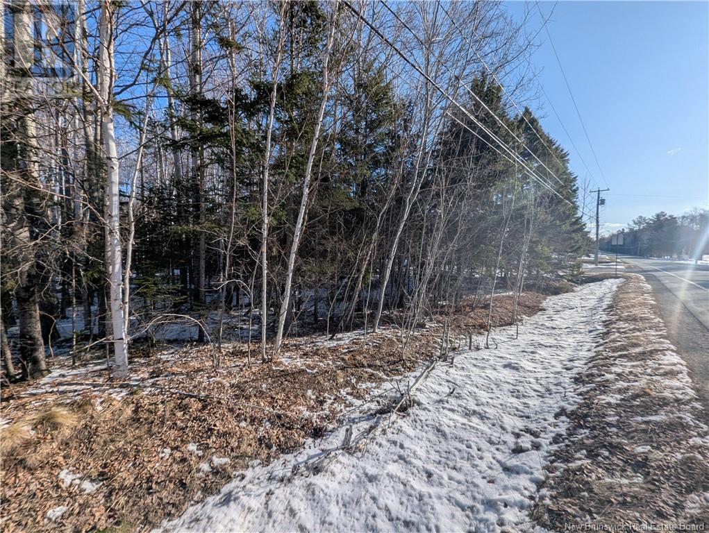 121 Youghall Drive, Bathurst, New Brunswick  E2A 4X5 - Photo 3 - NB115348
