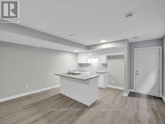 59 Superior Street, Welland, Ontario  L3B 3A6 - Photo 15 - X12056887