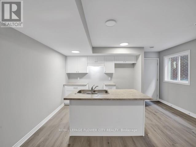 59 Superior Street, Welland, Ontario  L3B 3A6 - Photo 16 - X12056887