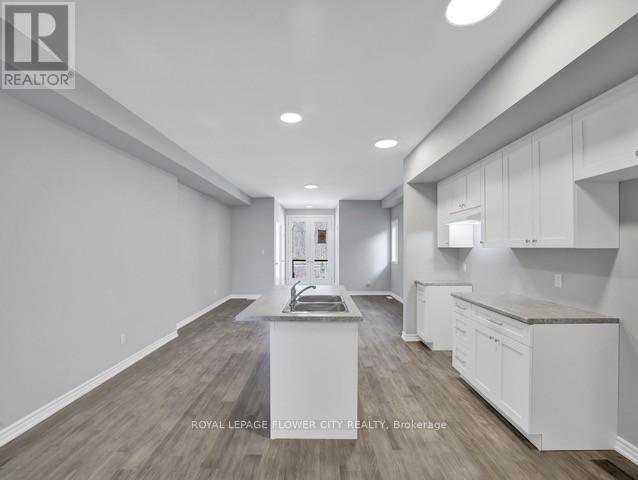 59 Superior Street, Welland, Ontario  L3B 3A6 - Photo 19 - X12056887