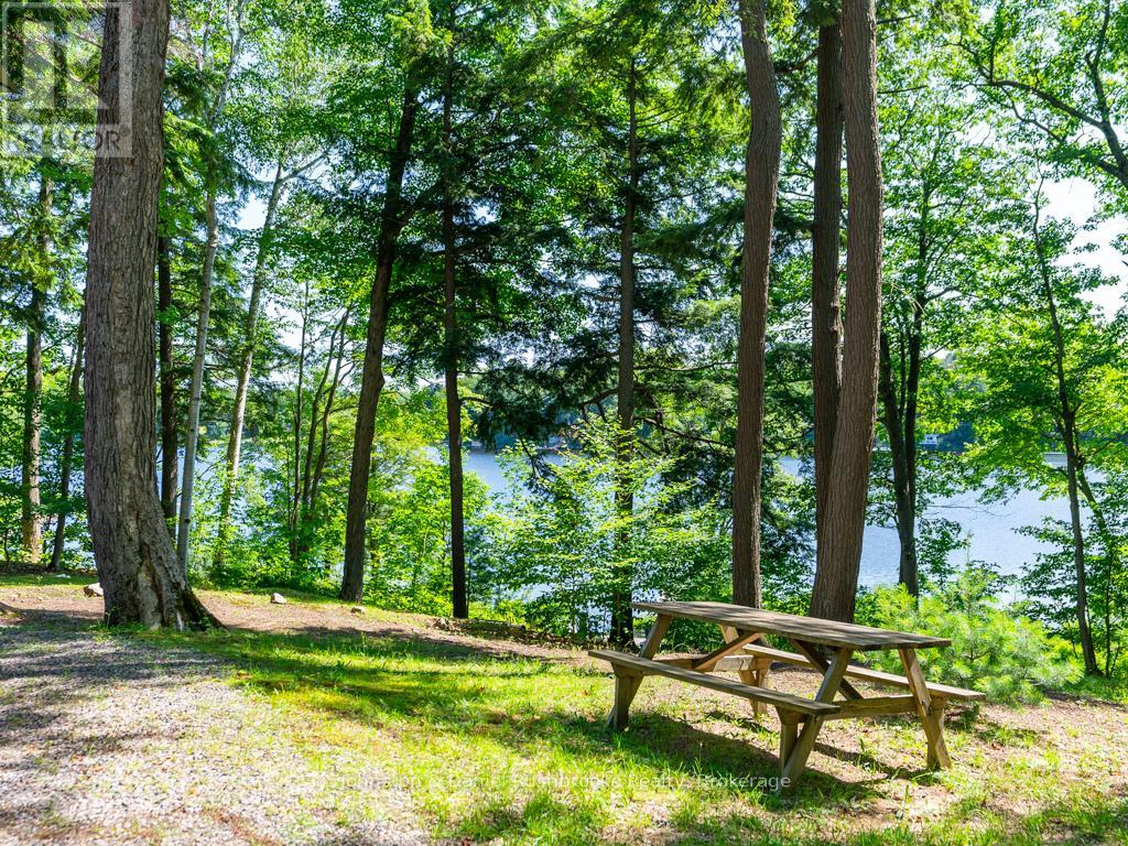 2 - 1086 Brackenrig Road, Muskoka Lakes, Ontario  P0B 1J0 - Photo 35 - X12057000
