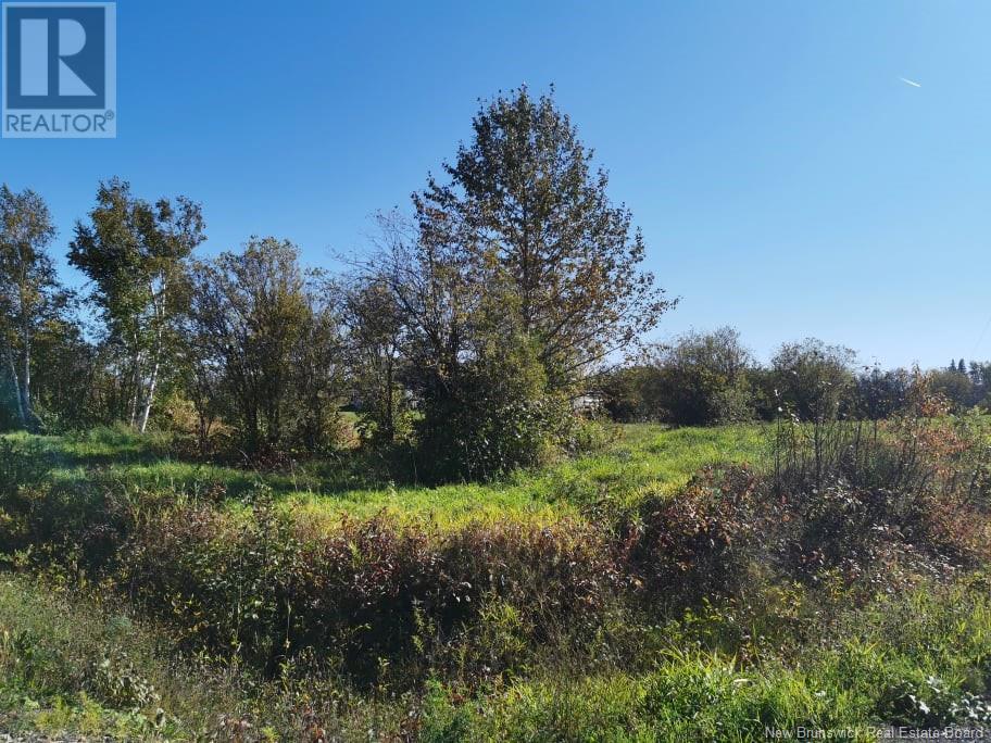 Lot 23 Bellevue Street, Charlo, New Brunswick  E8E 0B6 - Photo 2 - NB115372