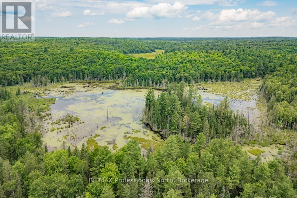 0 N/a, Dysart Et Al (Dysart), Ontario  K0M 1S0 - Photo 10 - X12057238